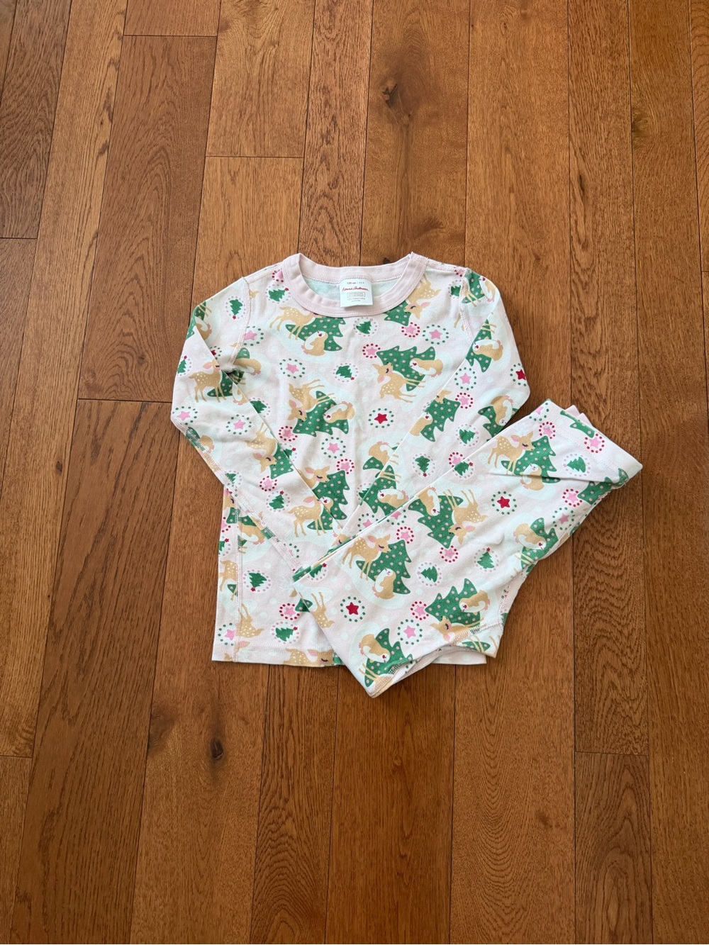 Hanna Andersson White Pajama Set with Green Trees and Tan Reindeer